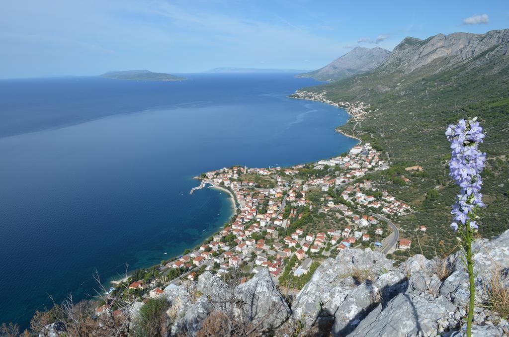 Apartments Palma Gradac  Ruang foto